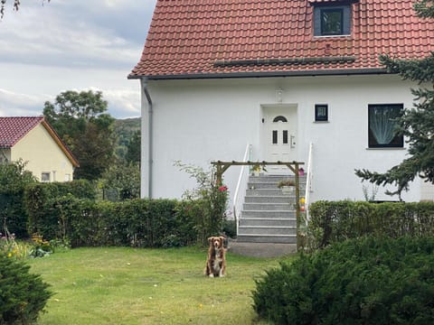 Property building, Facade/entrance, Garden