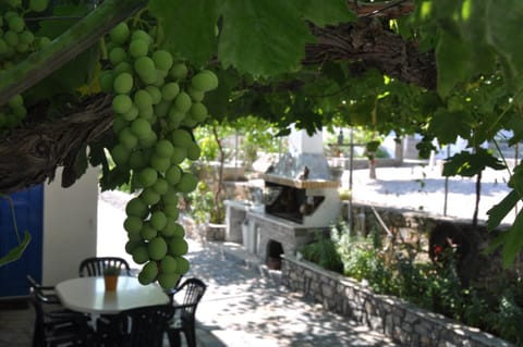 BBQ facilities, Garden