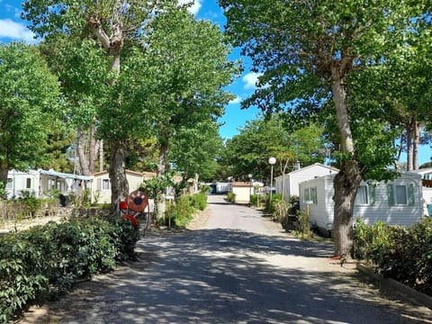 Friendly campsite near the popular seaside resort of Le Cap d'Agde House in Agde
