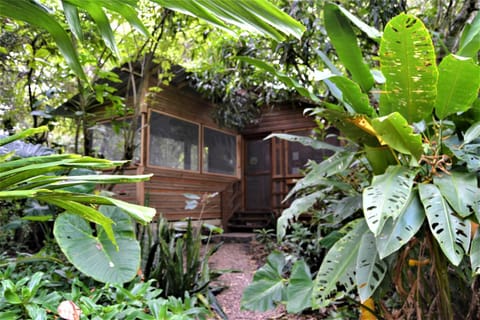 Iguana Roost Tourism Gold Standard Fully Equipped two Bedroom Cabin Casa in San Ignacio