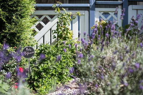 Garden, Garden, Garden view