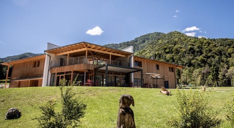 Property building, Restaurant/places to eat