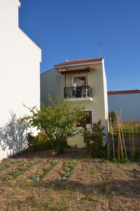 Balcony/Terrace, Garden view