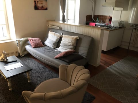 Appart Hôtel Le Victor Hugo 3 G sa pizza offerte Apartment in Aurillac