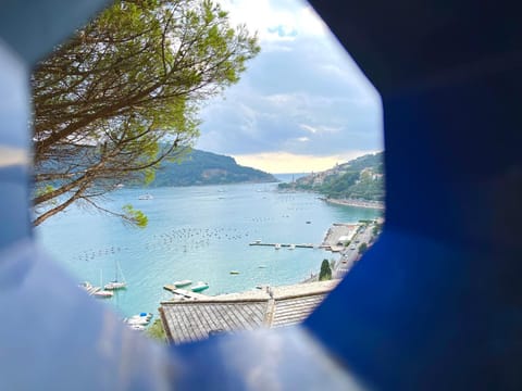 VILLA BLUE PANORAMIC PORTOVENERE House in Province of Massa and Carrara