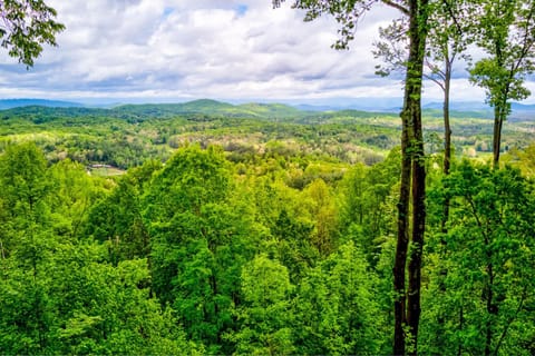 Black Bear View Maison in Union County