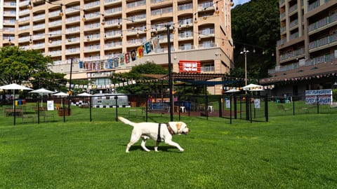Sono Pet Clubs & Resorts Vivaldi Park Resort in Gyeonggi-do