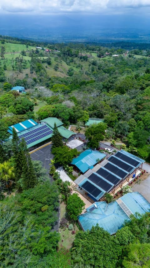 Property building, Bird's eye view