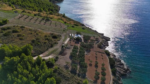 Bird's eye view, Sea view