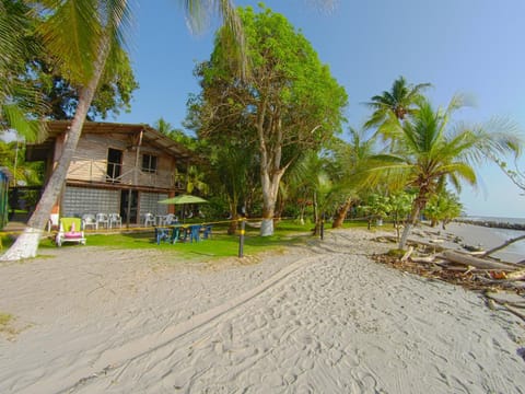 Property building, Day, Natural landscape, Beach, Sea view, pet friendly