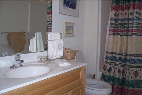 Fountain Motel Townhouse with Shared Pool House in Wildwood
