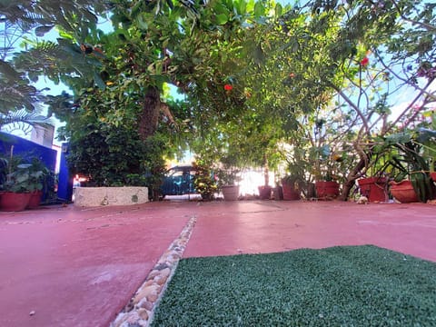 Exclusive Villa Pichi House in San Miguel de Cozumel