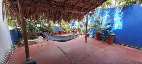 Exclusive Villa Pichi Casa in San Miguel de Cozumel