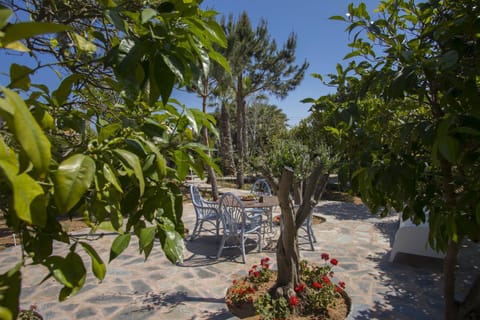 Patio, Garden, Garden view