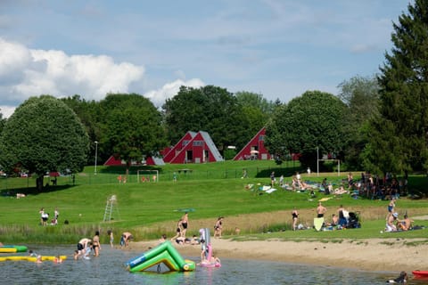 People, Natural landscape, Beach, group of guests