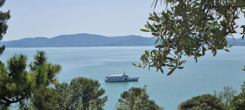 Bellavista la tua romantica vacanza sul Trasimeno Copropriété in Castiglione del Lago