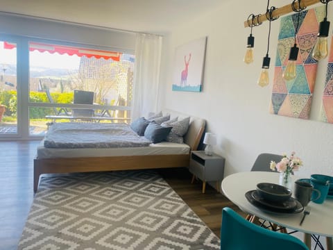 See Apart 3 Apartment in Canton of Zurich