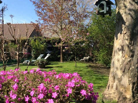 B&B Le Jardin Übernachtung mit Frühstück in Lommel