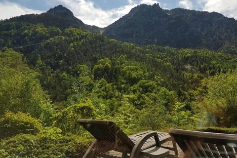 Jutta Deluxe Apartment #301 Apartment in Bad Reichenhall