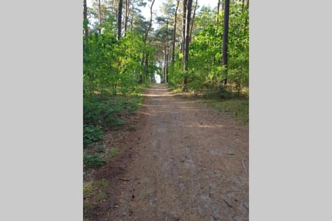 Natural landscape, Beach