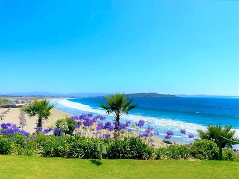 Natural landscape, Garden, Beach, Sea view