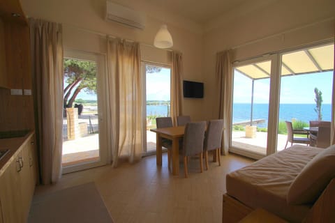 Apartments Erica Luxury Condo in Novigrad