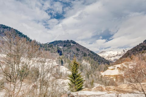 Other, Mountain view