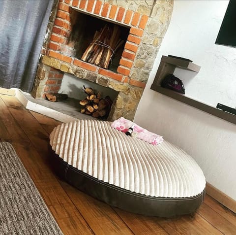 Cabañas Boutique Villaseñor Pet and 420 Friendly Nature lodge in Hidalgo, Mexico