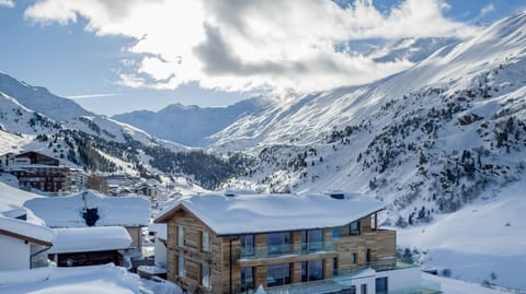 Bird's eye view, Winter