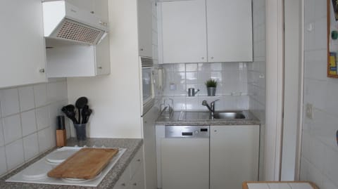 Kitchen or kitchenette, dishwasher, minibar, stove