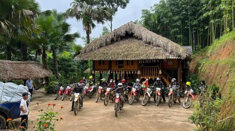 Vu Linh Palm House Homestay - Bungalow Bed and Breakfast in Laos