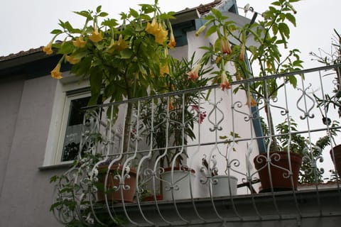 Property building, Balcony/Terrace