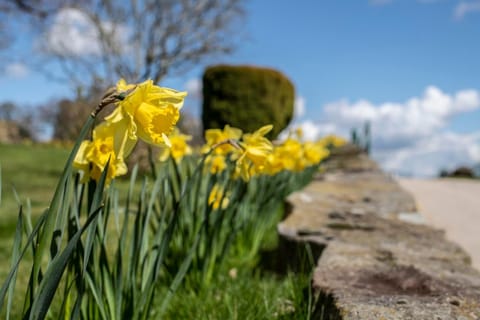 Nant Ucha Farm House in Llangollen