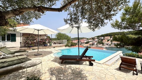 Villa Paladin - Spacious Villa with Pool near Garden Resort - 7 Min walk Villa in Tisno