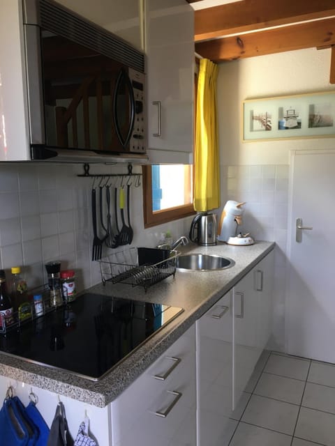 Kitchen or kitchenette, dishwasher, minibar, stove