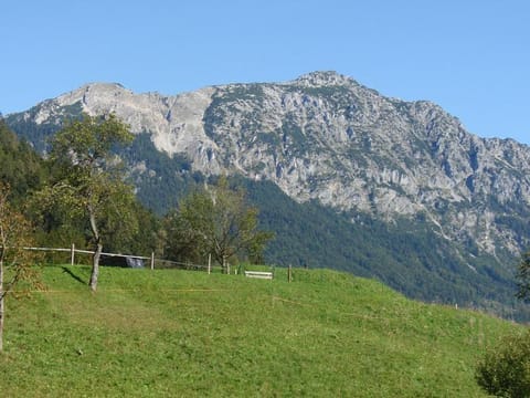 Landhaus Mesnerbauer Apartment in Bad Reichenhall