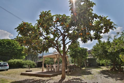 Garden, Garden view