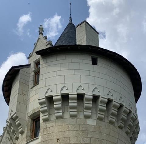 Manoir de Chandoiseau Chambre d’hôte in Les Trois-Moutiers