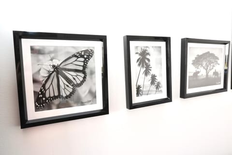 Cosy's Olivier Apartment in Finistere