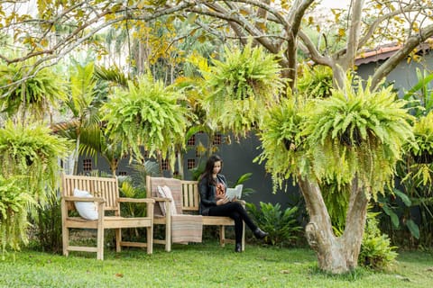 Cabanas Portal da Serra Nature lodge in Mogi das Cruzes