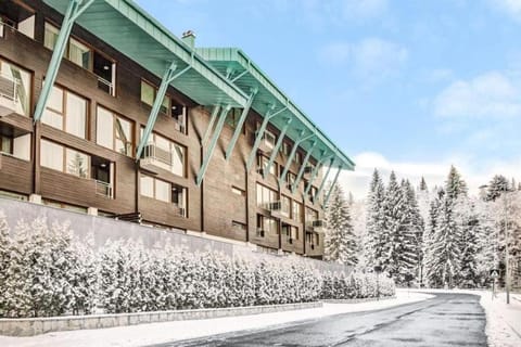 Silver Mountain, Duplex 3 camere - 250 mp luxury garden - Poiana Brasov Apartment in Brasov