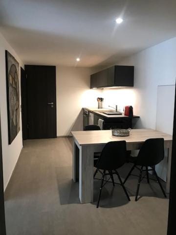 Blue River Apartment in Locarno