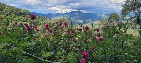 RECANTO DO LEÃO Bed and Breakfast in State of Rio de Janeiro