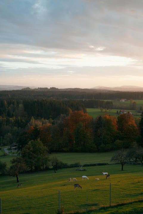 Day, Natural landscape, Sunset