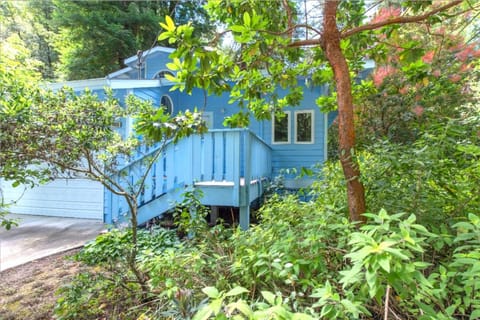 Blue Cherry! Redwoods! BBQ Grill! Fire Table! Ping Pong! Fast WiFi!! Dog Friendly! House in Russian River
