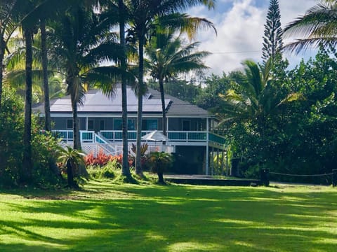 Property building, Garden