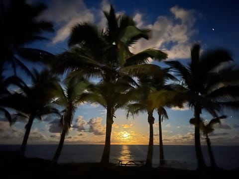 Sea view, Sunset