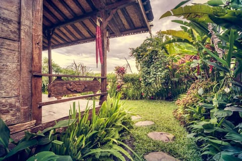 Garden, Balcony/Terrace, Garden view