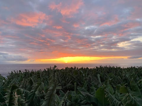 Natural landscape, Sea view, Sunrise