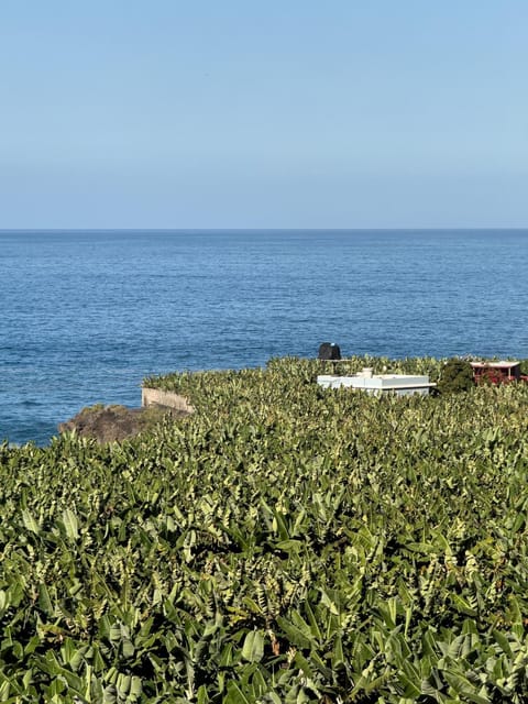 Rooftop Casa El Banco by Rural La Palma House in La Palma